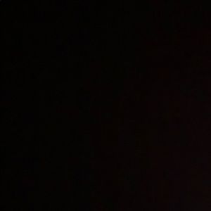 Meet your Posher, Brady